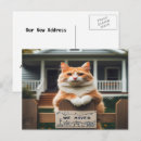 Search for fluffy cat invitations Kitty