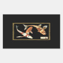 Search for goldfish stickers Koi