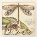 Search for dragonfly coasters Leaves