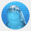 Search for happy dolphin stickers Animal