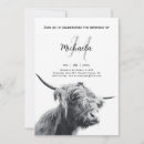Search for scottish party invitations Cow