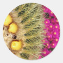 Search for cactus bloom stickers Pink