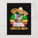 Search for sombreros postcards Cinco de mayo