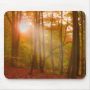 Search for fall scene electronics Landscape