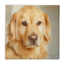 Search for closeup tiles Animal