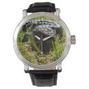 Search for lizard watches Reptile