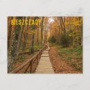 Search for forest path postcards Autumn