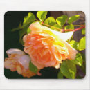 Search for bush mousepads Roses