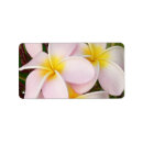 Search for hawaiian wedding return address labels Shower