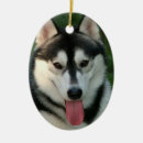 Search for dog sled christmas tree decorations Canine