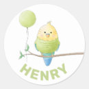 Search for cute budgie stickers Bird