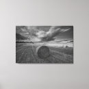 Search for barley art Agriculture