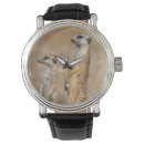 Search for alert watches Animal