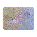 Search for ripples magnets Mallard