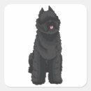 Search for flanders stickers Bouvier des flandres