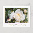 Search for pretty girly postcards White