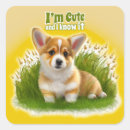 Search for cute corgi stickers Puppy