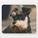 Search for standard schnauzer mousepads Pet