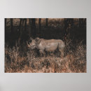 Search for rhino poster posters Wild