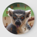 Search for ring tailed art Wildlife