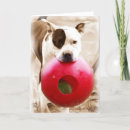Search for pitbull birthday cards Funny