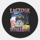 Search for funny cat saying stickers Best