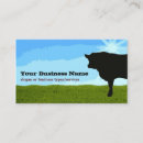Search for angus Cow