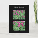 Search for spring bulbs photography Purple