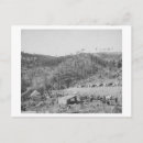 Search for wading postcards Photograph