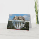 Search for tabby cards Funny cat