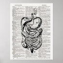 Search for medical art Vintage