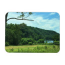 Search for green river magnets Trees
