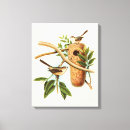 Search for bird canvas prints Tree