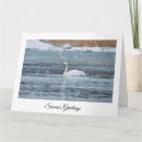 Search for swans christmas cards Xmas