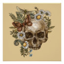 Search for butterfly skull posters Gothic