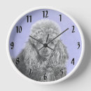 Search for poodle clocks Puppy