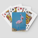 Search for pink flamingo playing cards Flamingoes