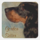 Search for gordon stickers Pet