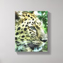 Search for animal leopard print canvas prints Wild