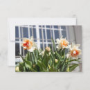 Search for spring stamps posters Photography