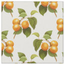 Search for vintage kitchen fabric Pattern