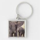 Search for tanzania key rings Nature