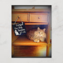 Search for beware postcards Cat
