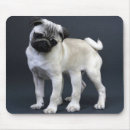 Search for legged mousepads Nature