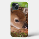 Search for babe ipad cases Infant