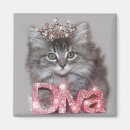 Search for tiara magnets Humour