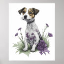 Search for jack russell posters Canine