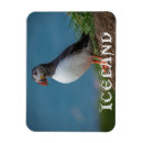 Search for masked face postcards Bird