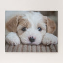 Search for baby puzzles Cute baby animal