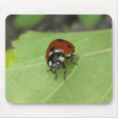 Search for ladybug mousepads Ladybird